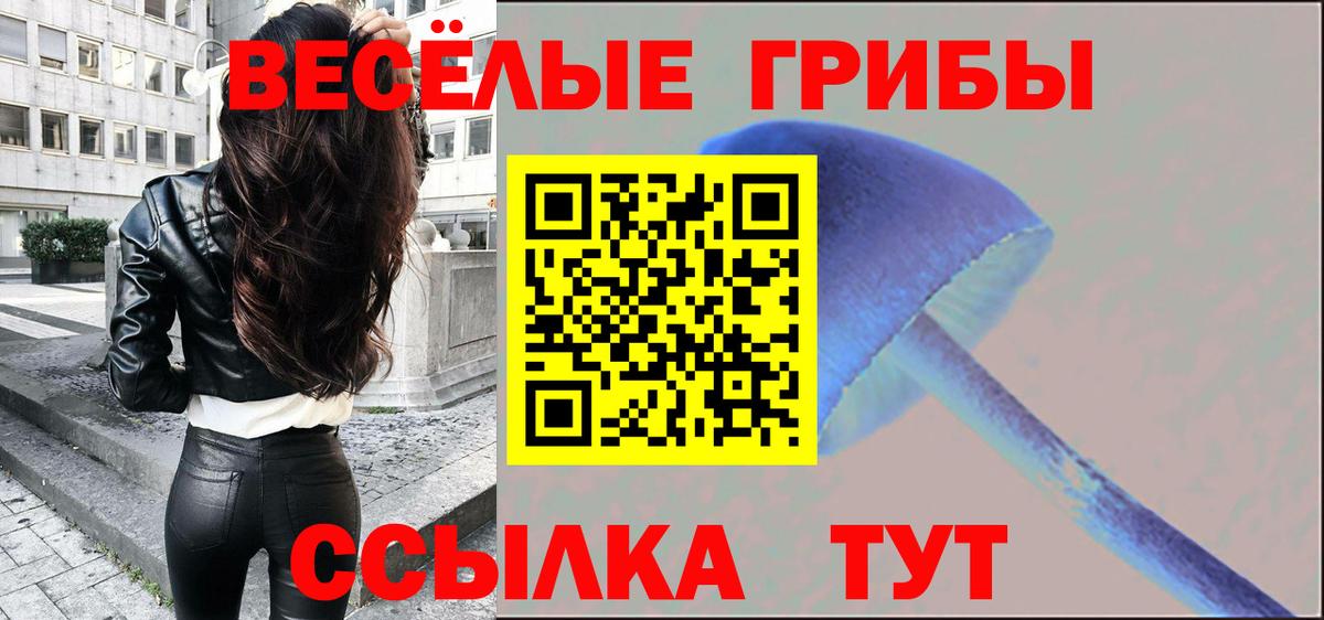 Шадринск  Псилоцибиновые грибы Psilocybine cubensis  Вход с VPN  Псилоцибиновые грибы GOLDEN TEACHER 